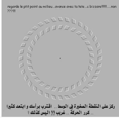 Barbo9a Tal3i 